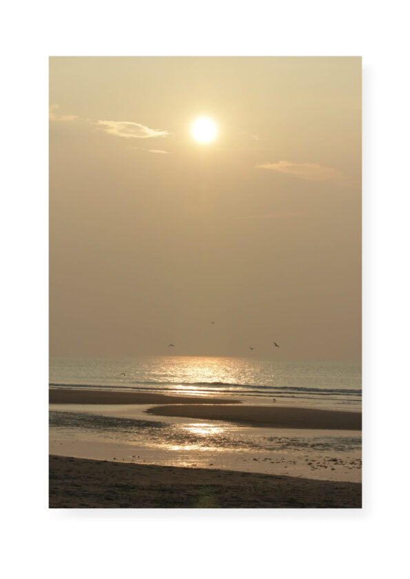 KuKo-EvaGold-Holland