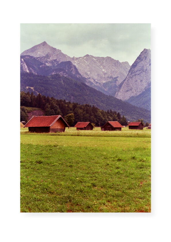KuKo-EvaGold-Landschaft1