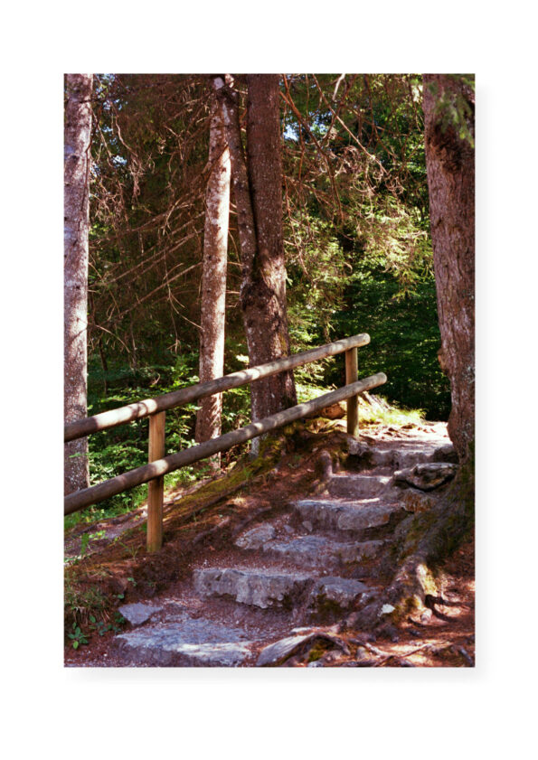KuKo-EvaGold-Landschaft3