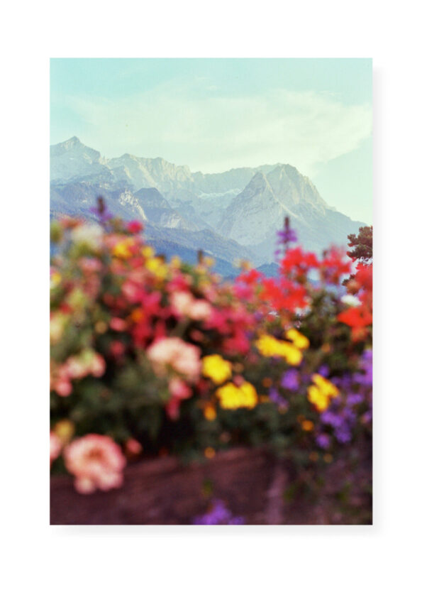 KuKo-EvaGold-Landschaft4
